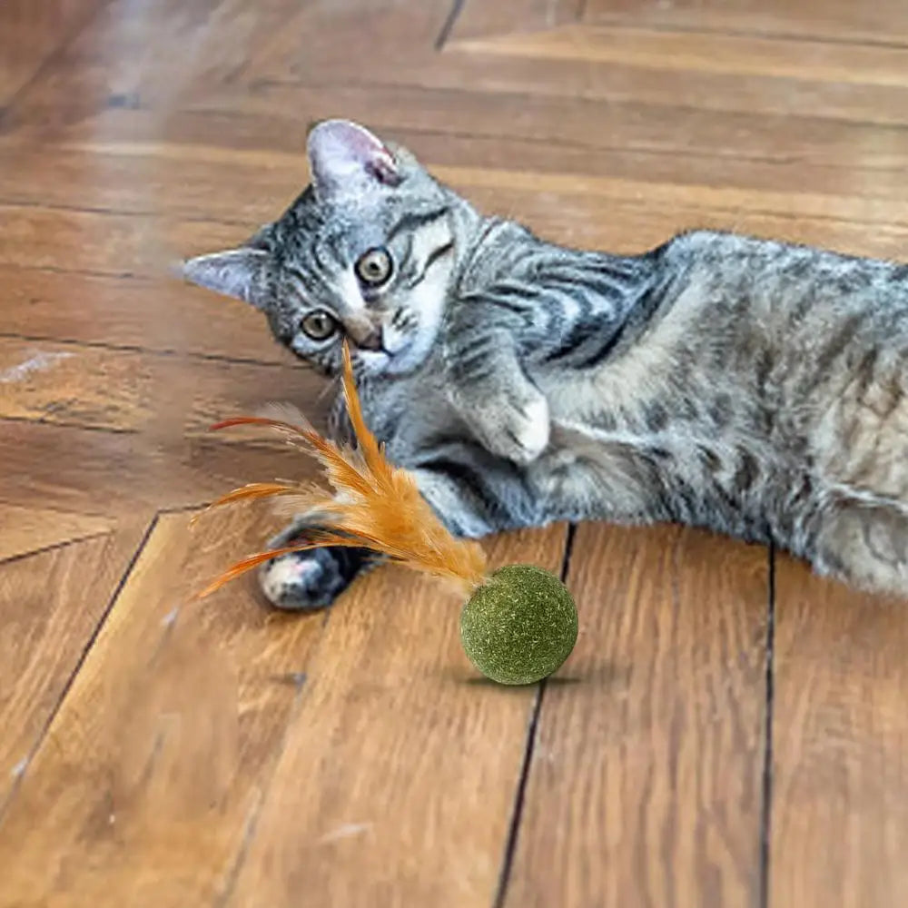 1pcs Catnip Feather Ball Interactive Natural Lollipop for Cat Kitten Toys, Feathers Design Teeth Cleaning Playing Toys