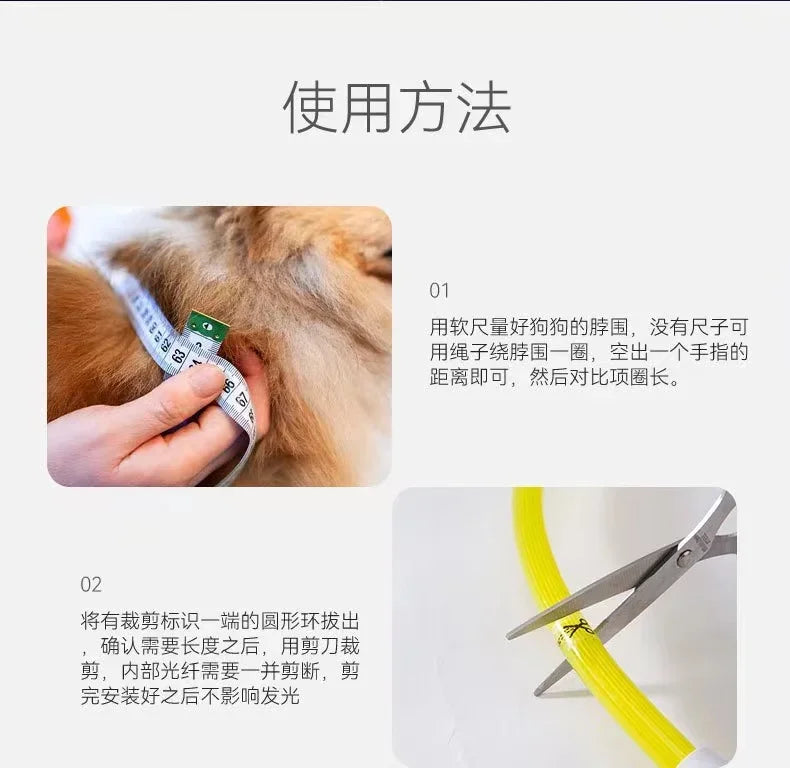 Pet Dog Led Light Collar Luminous Anti-Lost Dog Collar USB Rechargeable Dog Necklace Collar