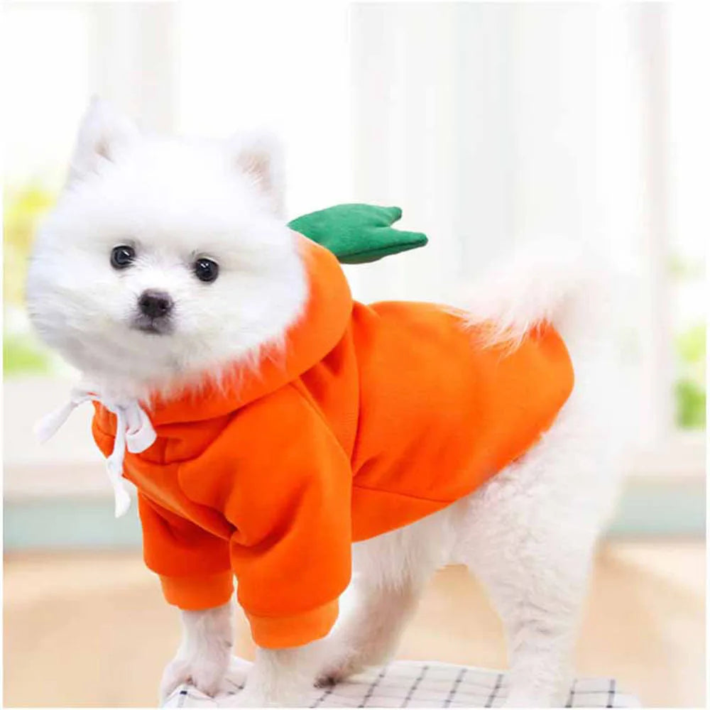 Cute Fruit Pet Costume Dog Clothes for Small Dogs Warm Fleece Doggy Hoodies Pet Dog Cat Clothing Puppy Sweater for Chihuahua Pug