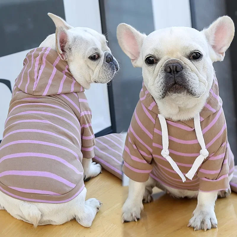 2023New Spring Summer Dog Hoodies Puppy Small Dog Costume Shirt Yorkshire Terrier Pomeranian Bichon Poodle maltese Clothing Coat
