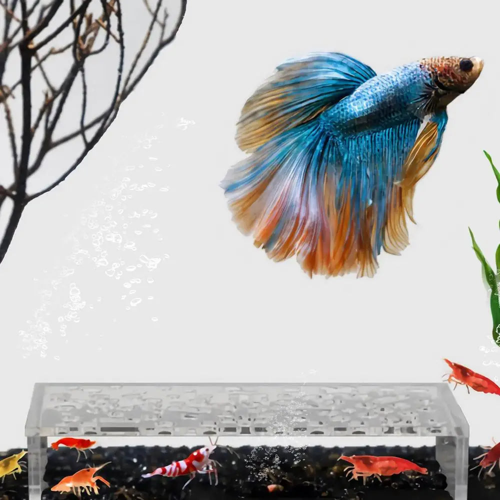 Shrimp Breeding Protector Acrylic Shrimp Breeding Cave Shrimp Tunnel Transparent Cave Shrimp Tank Decor Aquarium Tunnels