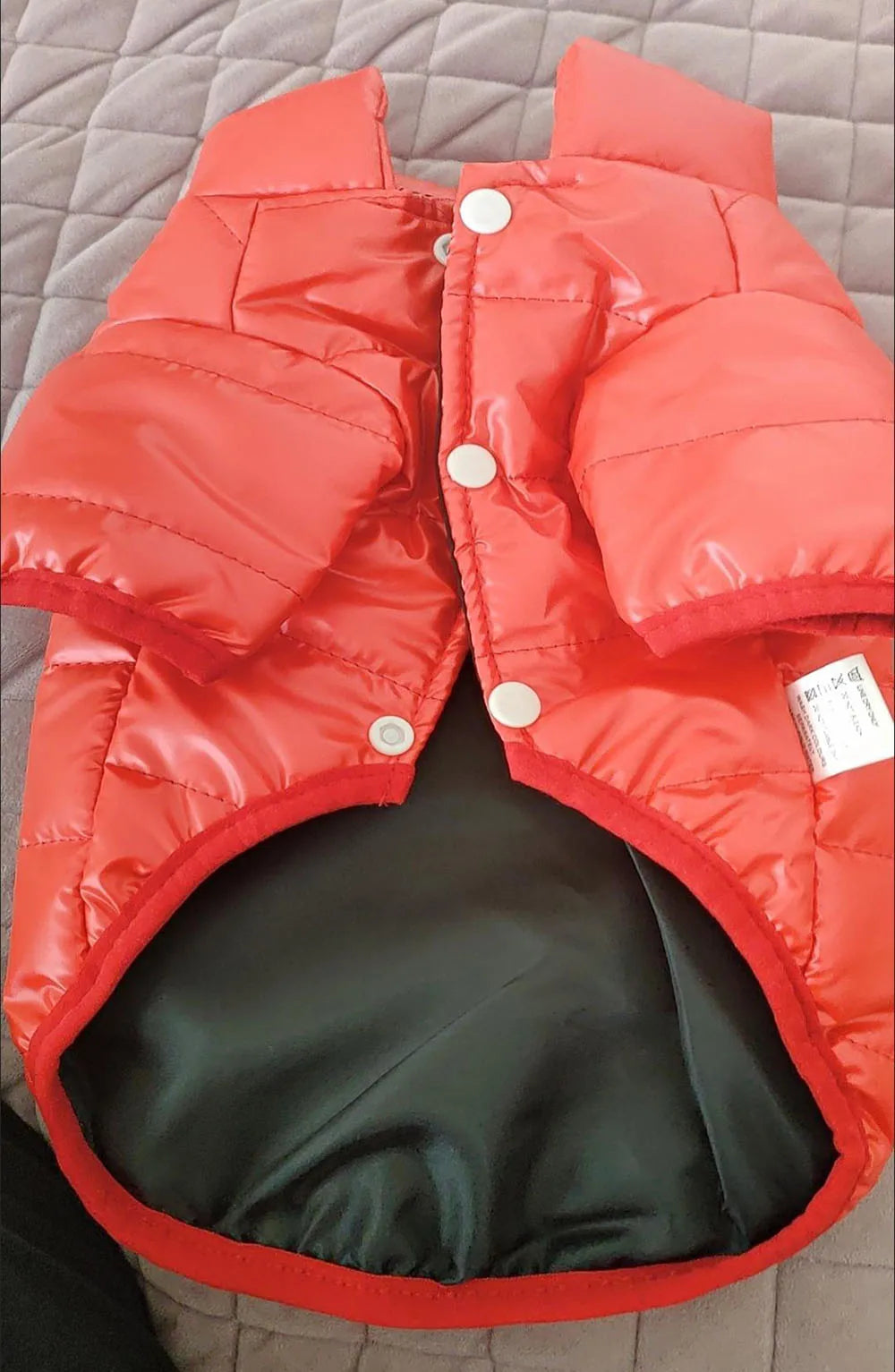 Puppy Pet Dog Clothes Outdoor Windproof Waterproof Leather Dog Coat Winter Warm Padded Jacket for Dogs and Cats in Cold Weather