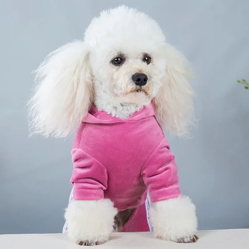 Pet Dog Clothing Four-legged Fashion letter Pet Dog Clothes for Dogs Coat Hoodie Sweatshirt Four seasons One-piece Jumpsuit