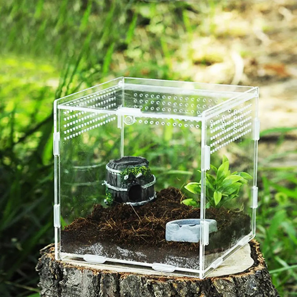 Reptile Terrarium Transparent Reptile Breeding Carrier Lightweight Acrylic Large Feeding Tarantula Habitat Box For Small Animals