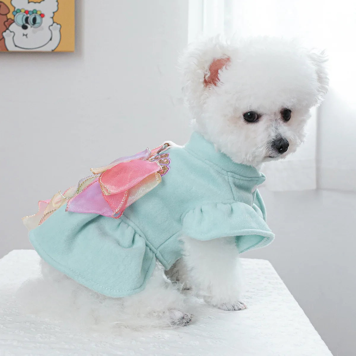 Luxury Woolen Princess Dress for Small Dogs Girl, Autumn Winter Warm Dog Clothes Yorkie Chihuahua Puppy Bowknot Skirts