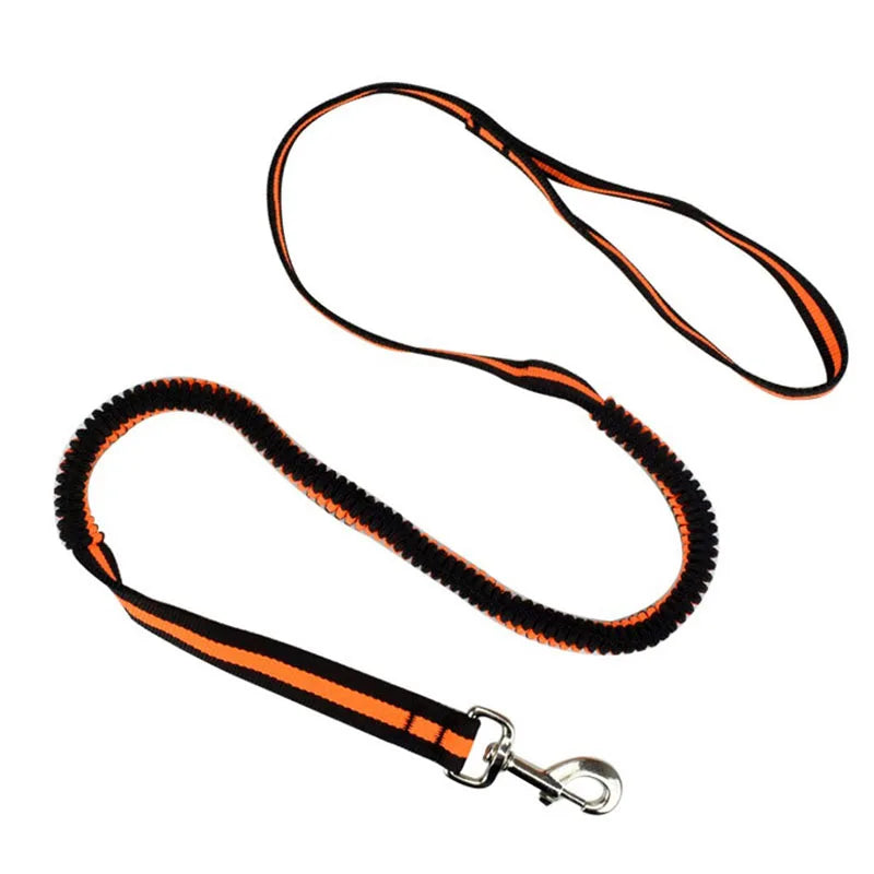 190cm Elastic Dog Leash Pet Cat Puppy Anti Dash Pull Dog Lead Leash Retractable Leash For Rabbit Hamster Small Pets Dropshipping