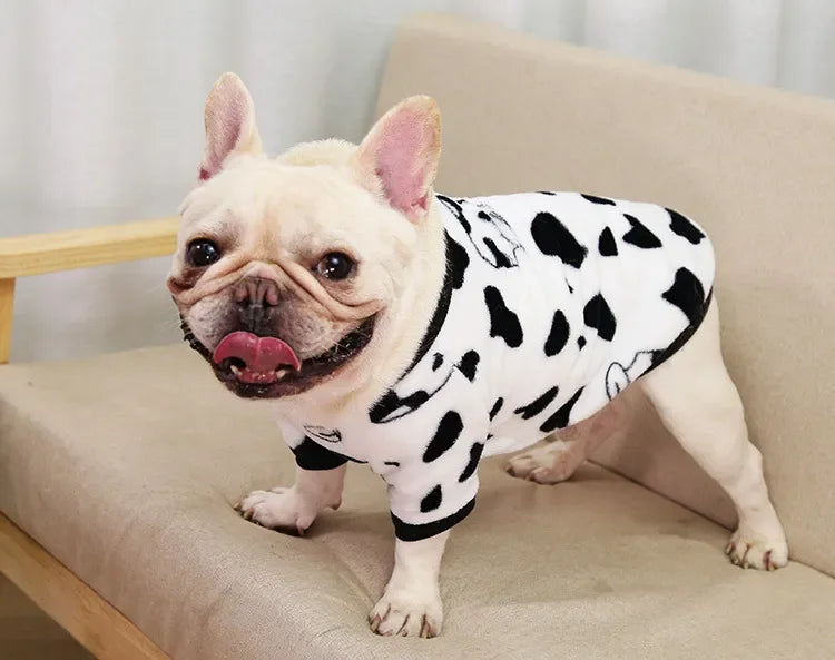 Pet Dog Clothes T-shirt Leopard Print Spring and Autumn Warm Big Dog Large Dog Two Feet Plus Down Golden Retriever Dog Clothes