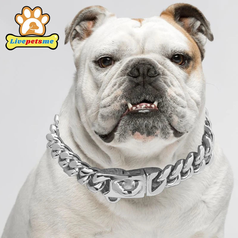 Stainless Steel 18K Gold Dog Collar, Wide Pet Choker, Metal Dog Necklace, Pet Supplies, Accessories for Dogs, 14mm