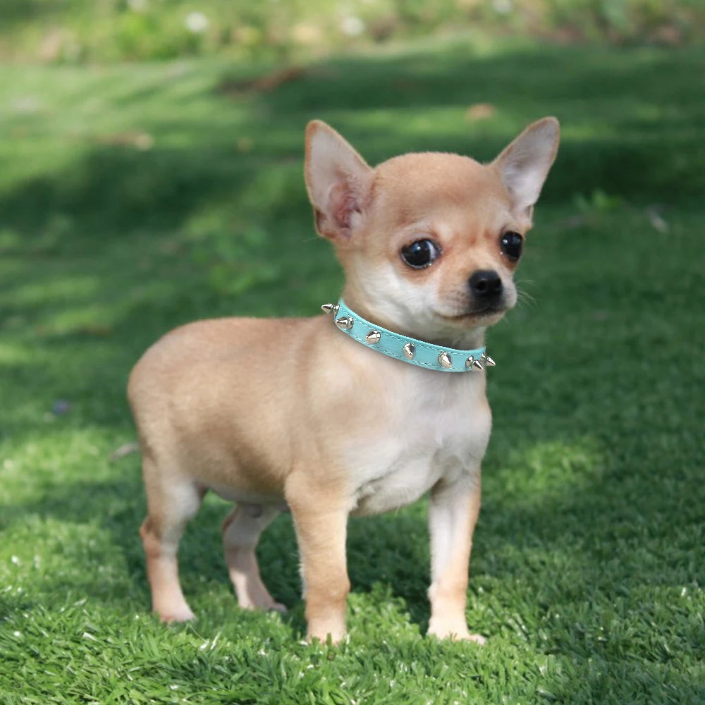 Anti-Bite Dog Collar Spiked Studded Pet Dog Collar PU Leather For Small Dogs Sport Bulldog Pug Puppy Dog Collar Cat Dog Supplies