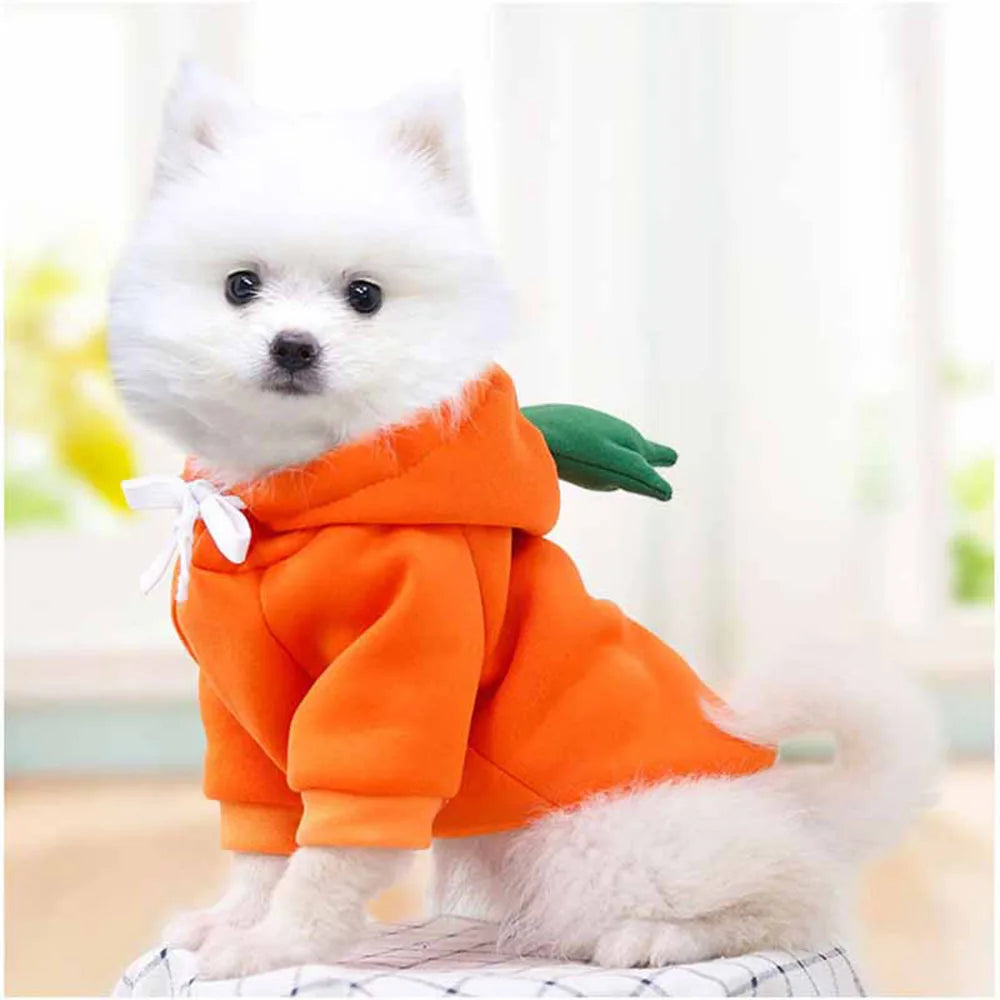 Cute Fruit Pet Costume Dog Clothes for Small Dogs Warm Fleece Doggy Hoodies Pet Dog Cat Clothing Puppy Sweater for Chihuahua Pug