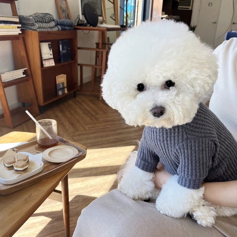 Waffle Thin Dog Vest All Seasons Dog Undershirt Solid Pet Clothes Yorkie Chihuahua Bichon Clothing Fashion Puppy Hoodies Apparel