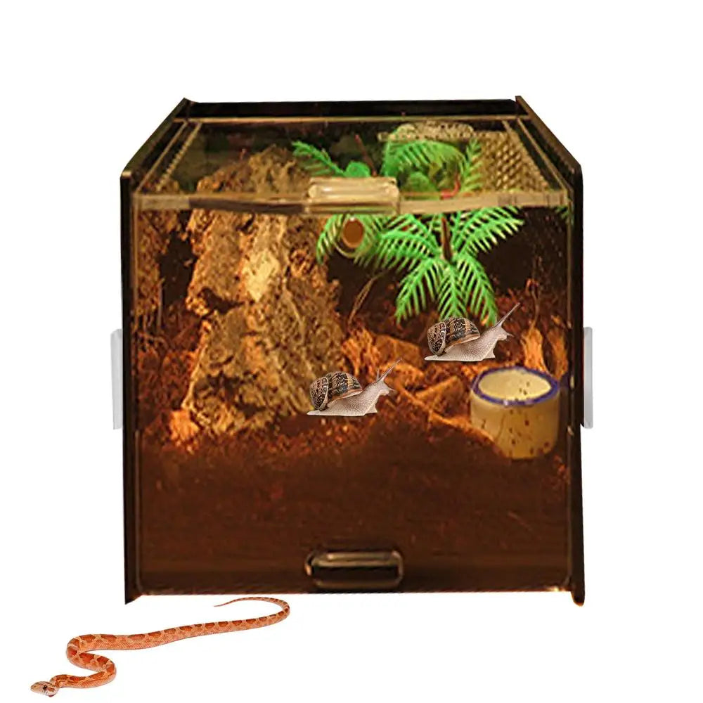 Terrarium For Reptile Snail Arcylic Breeding Box Wolf Spider Jumping Spider Snail Scorpion Durable Invertebrate Breeding Box