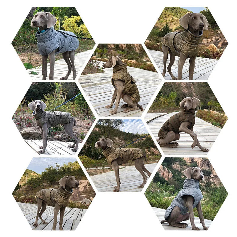 Italian Greyhound Large Dogs Clothes Winter Coat Adjustable Reflective Warm Fleece Lined Turtleneck Dog Jacket for Big Dogs