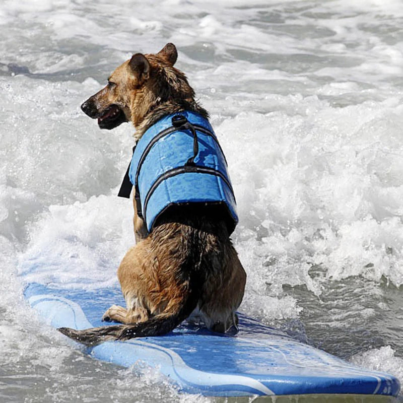 Large Medium Pet Dog Life Jacket Oxford Floating Husky Summer Pet Supplies Quick Drying Seaside Safety Exercise Dog Swimsuits