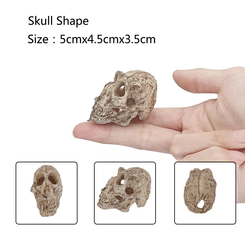 Aquarium Ornaments Decoration Resin Rhinoceros Horned Skull Goat-Head Shape Fish Tank Spider Scorpion Lizard Aquariums Shelter