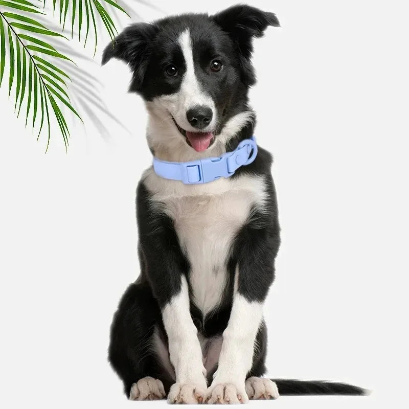 New Macaron Colored PVC Dog Collar Waterproof Dirt Resistant Easy To Clean Pet Collar Adjustable Neck Collar Pet Dog Collar Set