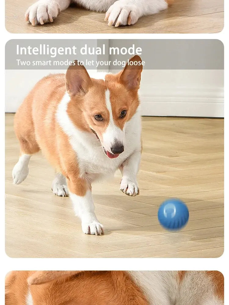 1pcs Dog Toys Intelligent Gravity Jump Ball Rechargeable Bite-Resistant Rolling Ball Cat And Dog Chase Interactive Pet Toys
