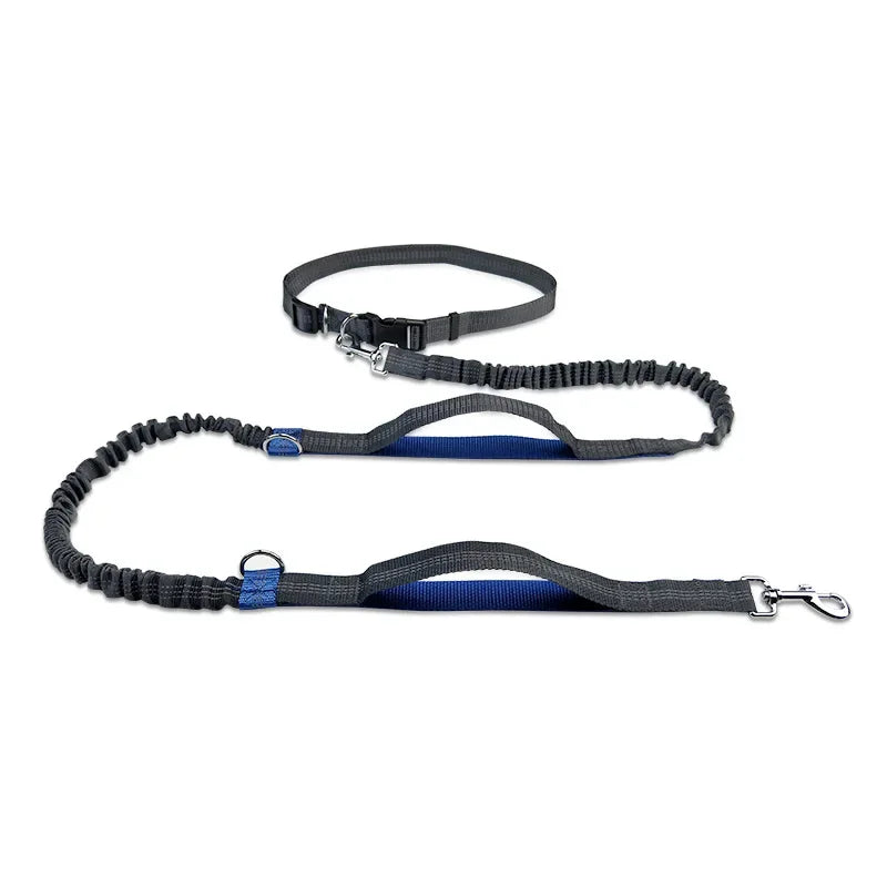 Retractable Hands Free Dog Leash for Running Judge Leash Large Dog Pet Supplies