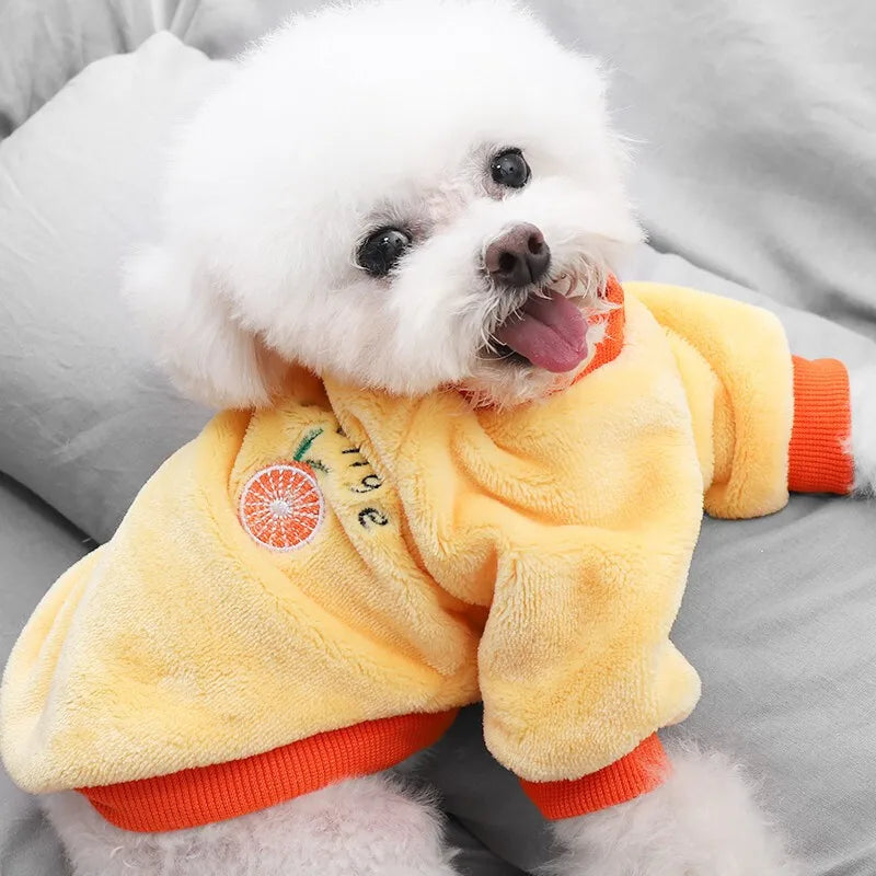 Pet Dog Clothes Warm Fleece Cute Fruit Print Coat Small Medium Cat Shirt Jacket Autumn Puppy Sweater Hoodie Chihuahua Yorkies