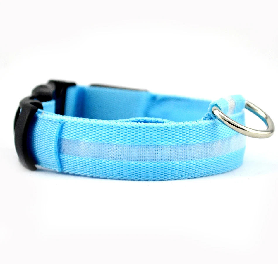Light Up Dog Collar, Glow LED Dog Collar Flashing Night Walking Collar Waterproof for Small Medium Large Dogs