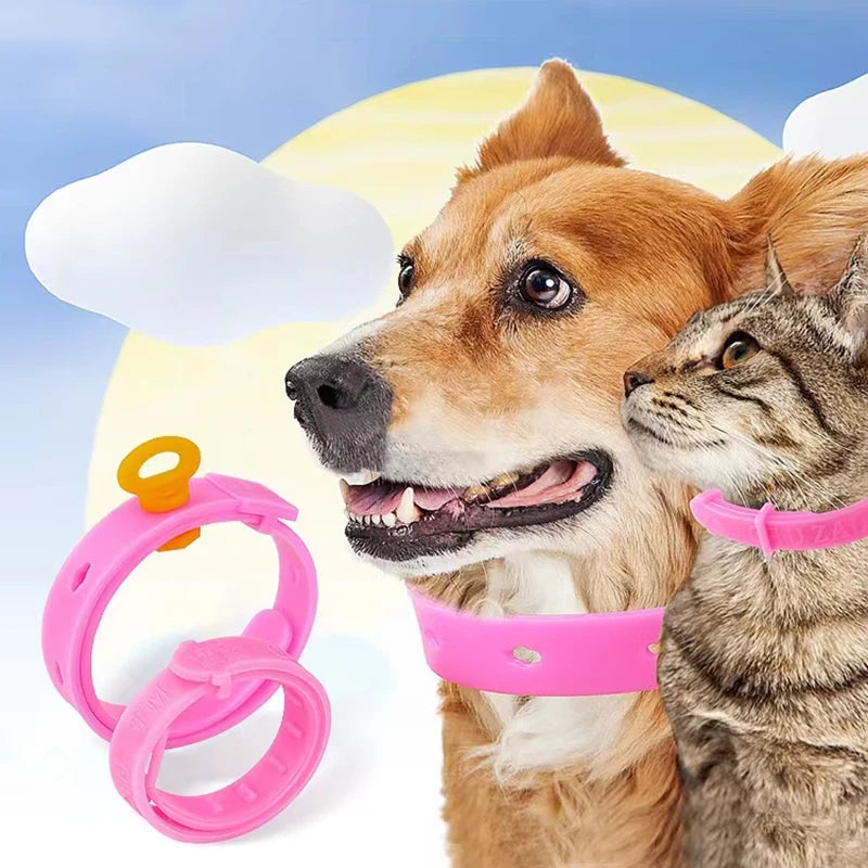 Summer Flea Cleaning Tool Adjustable Anti Flea Cat Collar Neck Strap Anti Mite Louse Cootie Pet Collar Cat Supplies