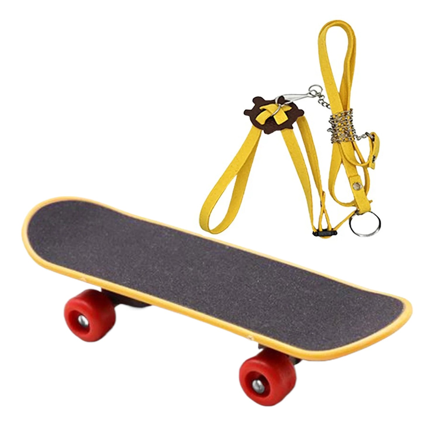 Turtle Feeding Ball Fruit Vegetable Holder with Training Skateboard 2 Treat Balls Turtle Enrichment Toys for Tortoise Turtle