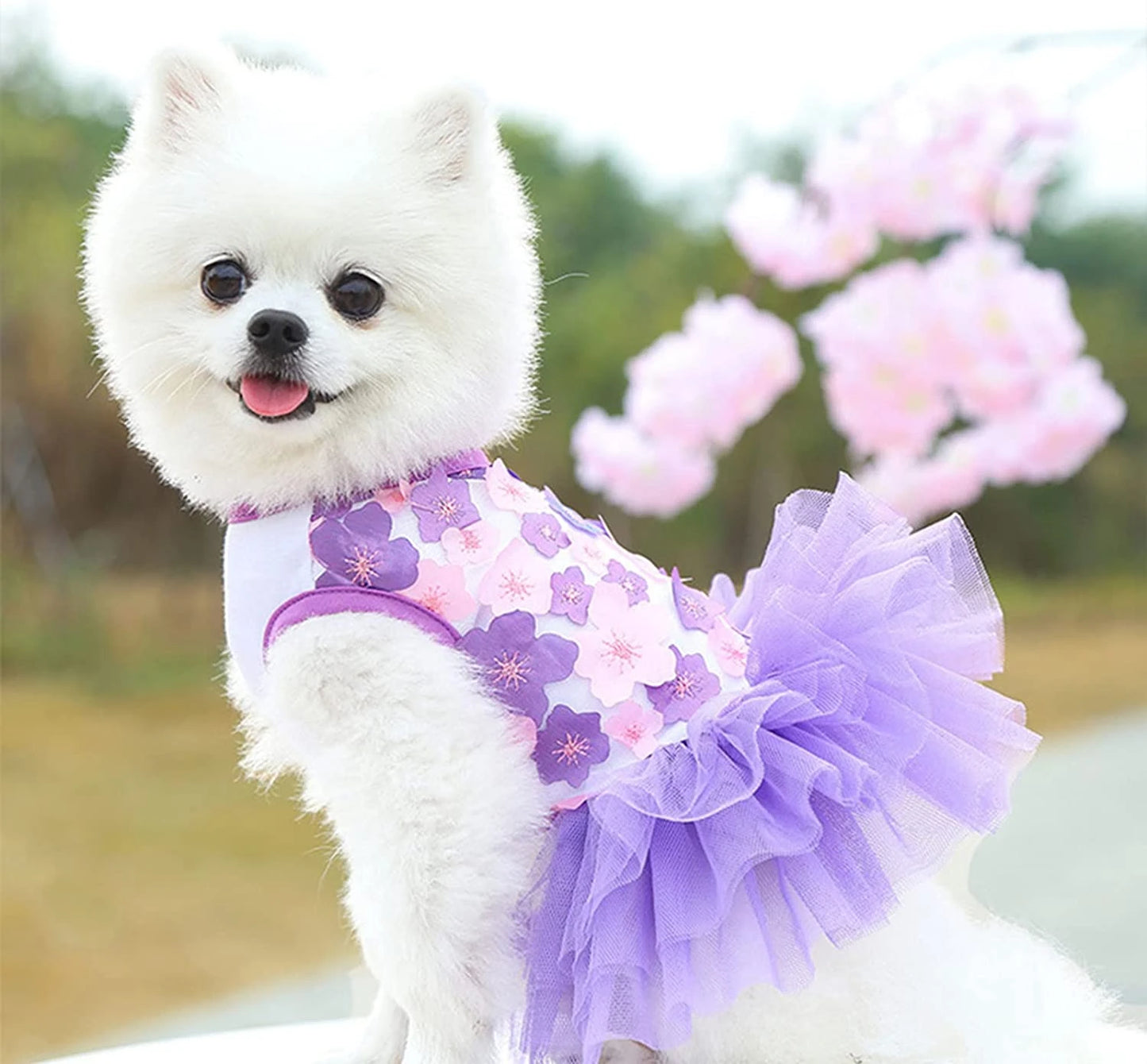 Cute Girl Dog Dress Bowknot Princess Lace Tulle Skirt Ruffle Tutu Dress for Small Dogs Cats Chihuahua York Summer Puppy Clothes