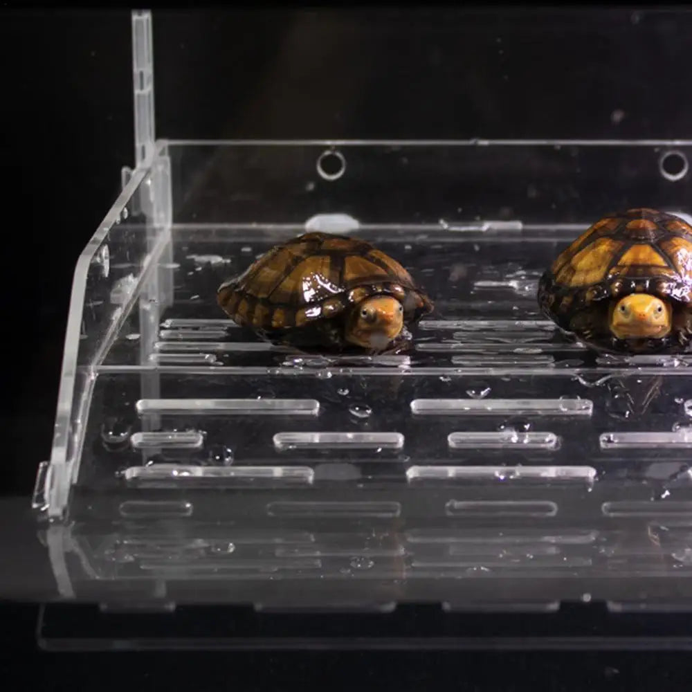 Turtle Basking Ramp Acrylic Transparent Climbing Ramp Aquarium Reptile Resting Terrace Turtle Tank Accessories For Lizards Frogs