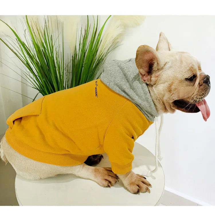 The New Pet Clothes Dog Clothes Parent-child Wear Spring and Autumn Korean Version Pure Cotton Hoodie Four Colors Seven Sizes