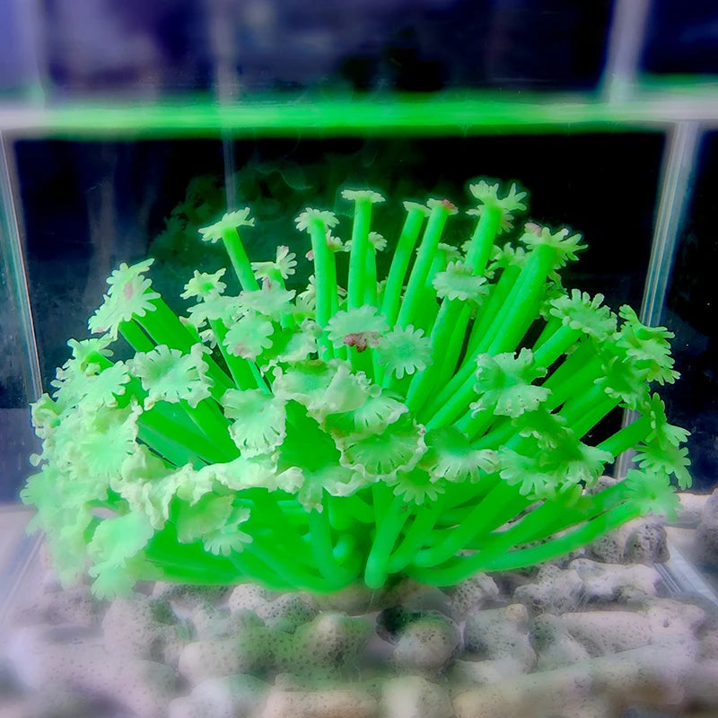 Artificial Underwater Coral Aquarium Fish Tank Simulation Decoration Aquarium Backgrounds Plants Water Grass Accessories Home