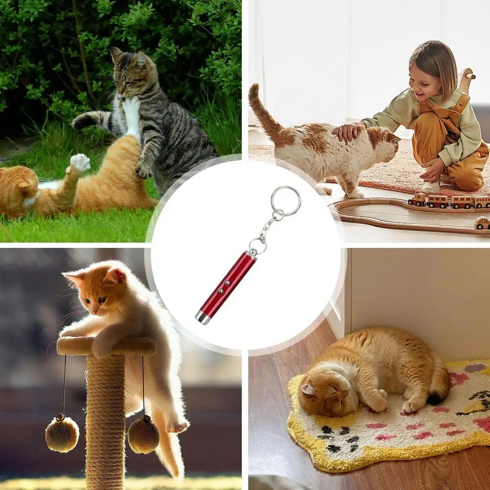Laser Pointer For Cats Interactive Cat Laser Toy Pet Enrichment Toys For Indoor Cat To Play And Exercise