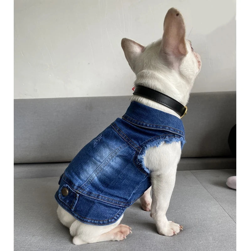 Dog Cat Clothes Jeans Jacket for Small Medium Dogs Beagle Yorkie Chihuahua Dark Wash Denim Coat Spring Autumn Pet Apparel