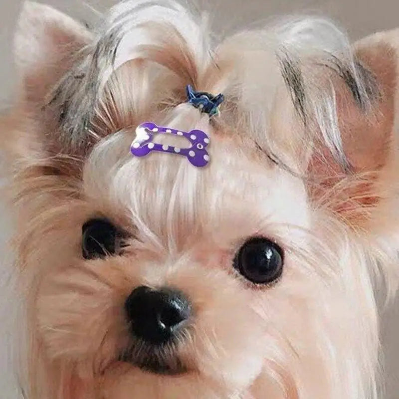 10pcs Bone Hair Clips Non Slip Dog Bone Pet Hair Clip Hairclips Metal Barrettes Hair Accessories for Cosplay Party Pet Dogs and