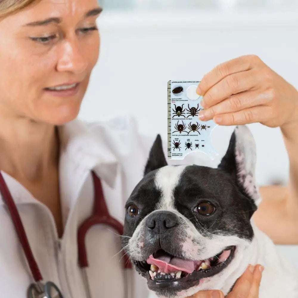 Tick Card with Magnifying Glass Tick Remover for Dogs Quickly Gentle Remove Ticks from Pet Dogs Cats or People