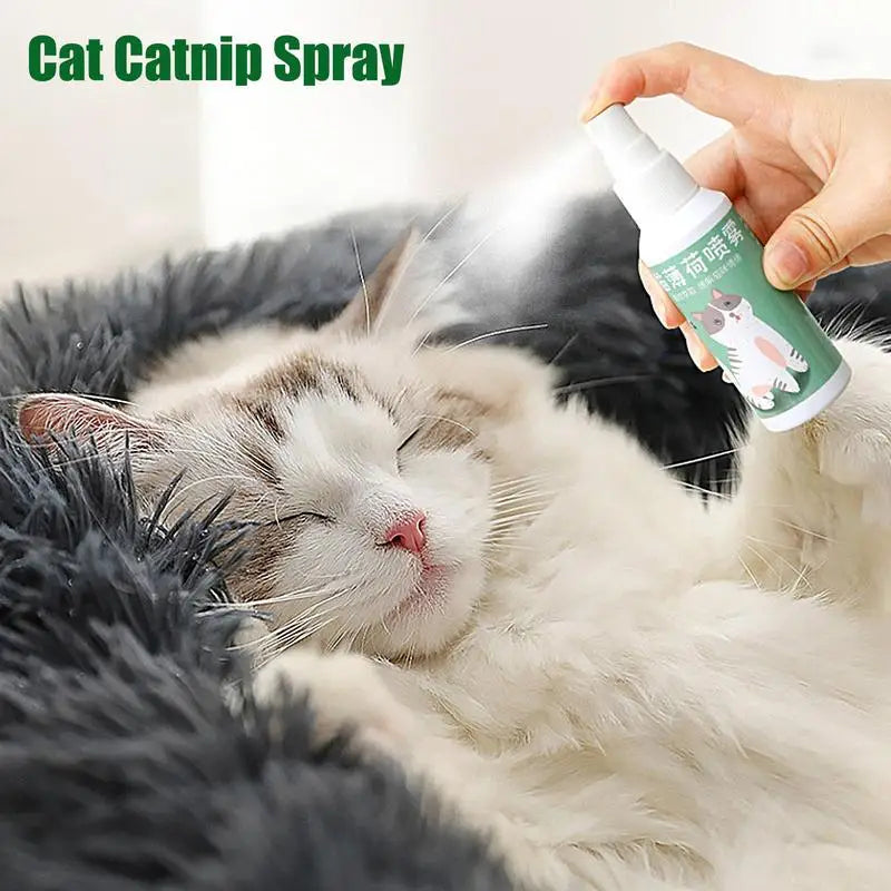 Spray Catnip Natural Maximum Potency Cat Nip Bundle High Potency Catnip 50ml Safe Non-Addictive Catnip Feline And Cat Lover