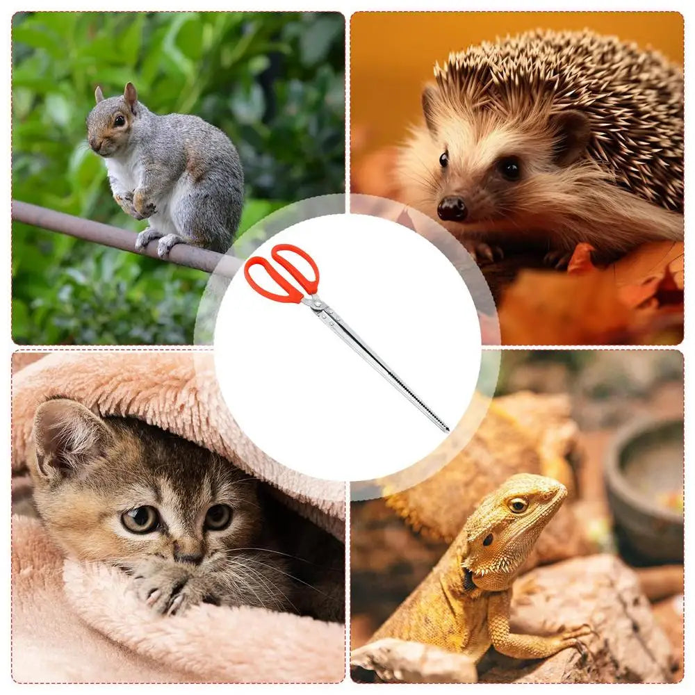 Stainless Steel Reptile Feeder 15 Inches Anti-Skid Feeding Tongs Aquascaping Tools For Hold Worm Steel Reptile Feeding Tong
