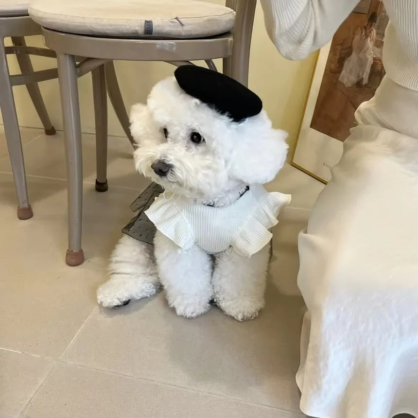 Dog Princess Dress Summer Dog Clothes for Small Dogs Pet T-Shirt Black Lace Retro Puppy Skirt Chihuahua Bichon Girls Dog Costume