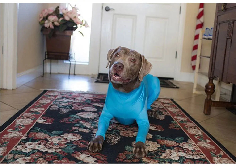 Dog Onesie Clothes Shedding of Dog Hair for Home Car Travel Anxiety Calming Shirt Surgery Recovery Body Jumpsuit for Large Dogs