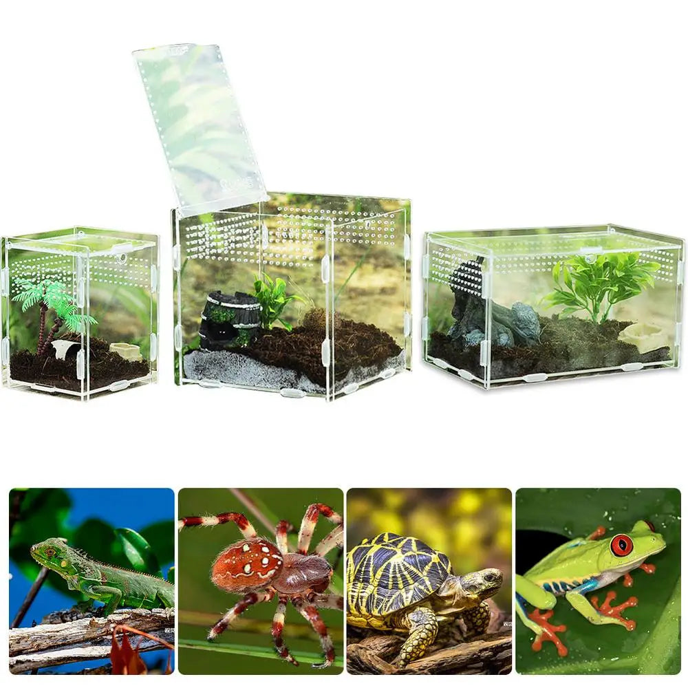 Reptile Terrarium Transparent Reptile Breeding Carrier Lightweight Acrylic Large Feeding Tarantula Habitat Box For Small Animals