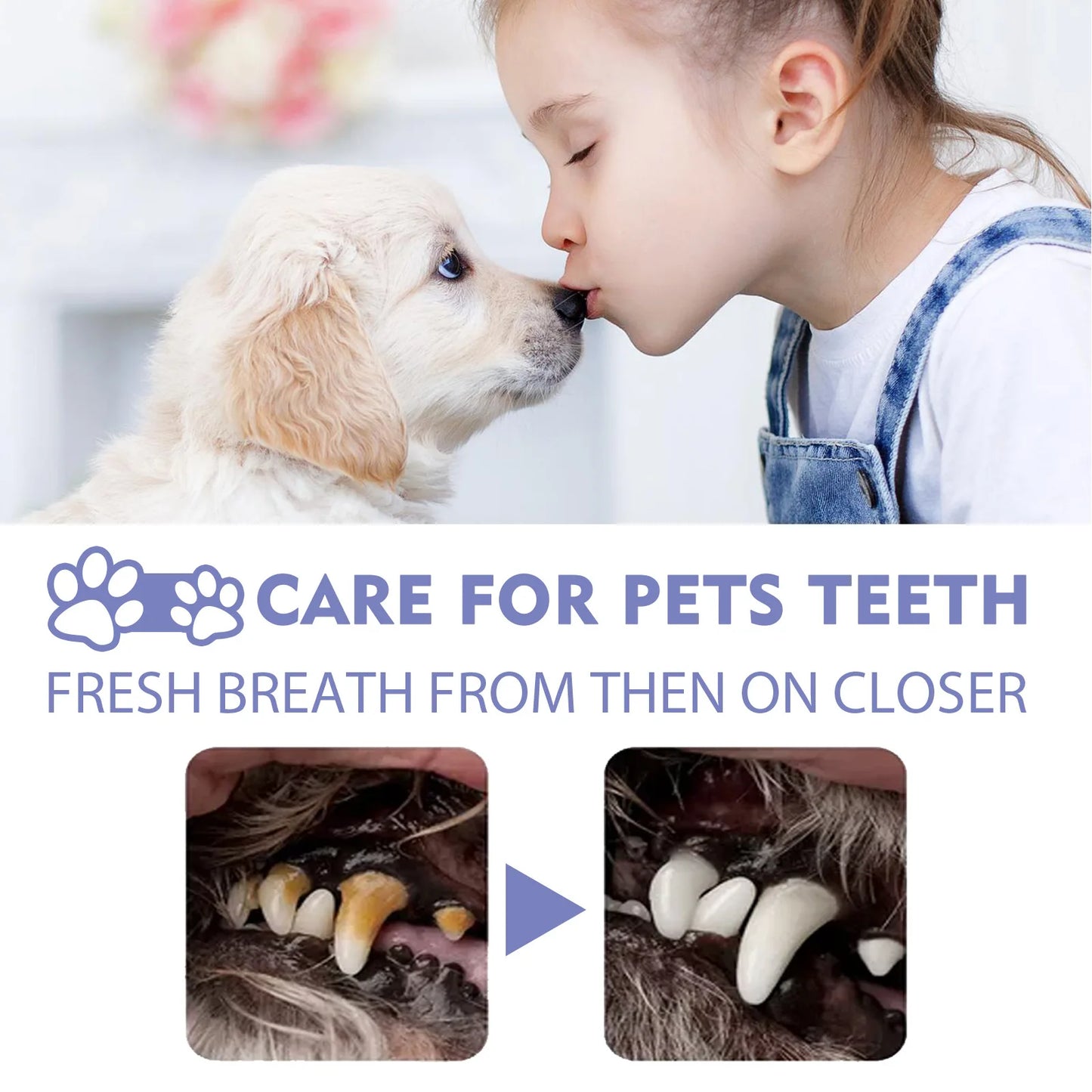 50ml Pet Oral Cleanse Spray Dogs Cats Teeth Clean Deodorant Prevent Calculus Remove Kitten Bad Breath Mouth Fresh Pet Supplies