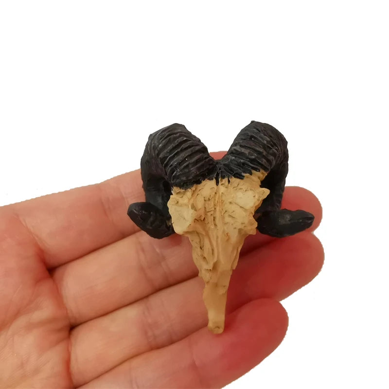 Aquarium Ornaments Decoration Resin Rhinoceros Horned Skull Goat-Head Shape Fish Tank Spider Scorpion Lizard Aquariums Shelter