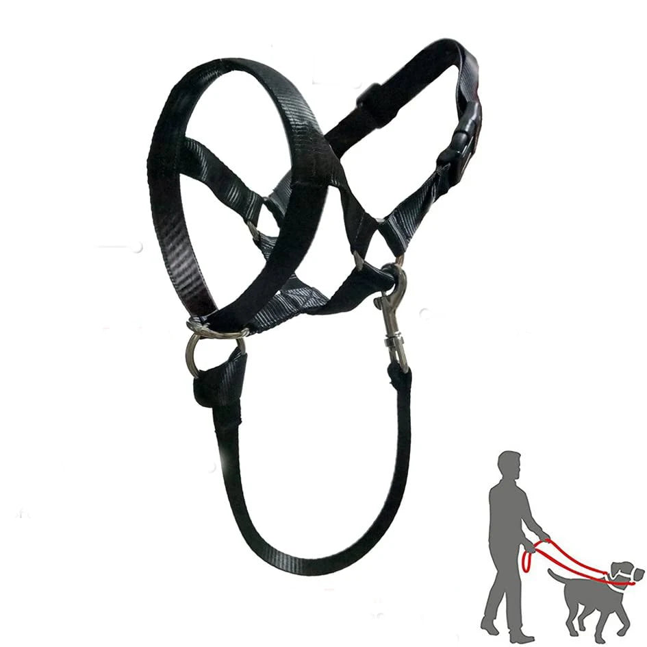 Nylon Dog Muzzle for Small Medium Large Dogs Adjustable Anti Barking Biting , Control Pet Leader Dog Head Collar Halter Leash