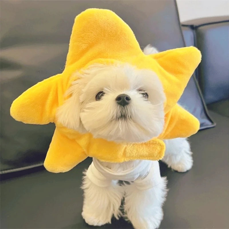 Personalized Animal Small Dog Hat Warm New Year Cosplay Accessories for Cats Snapper Bear French Bulldog Pet Supplies Head Gear