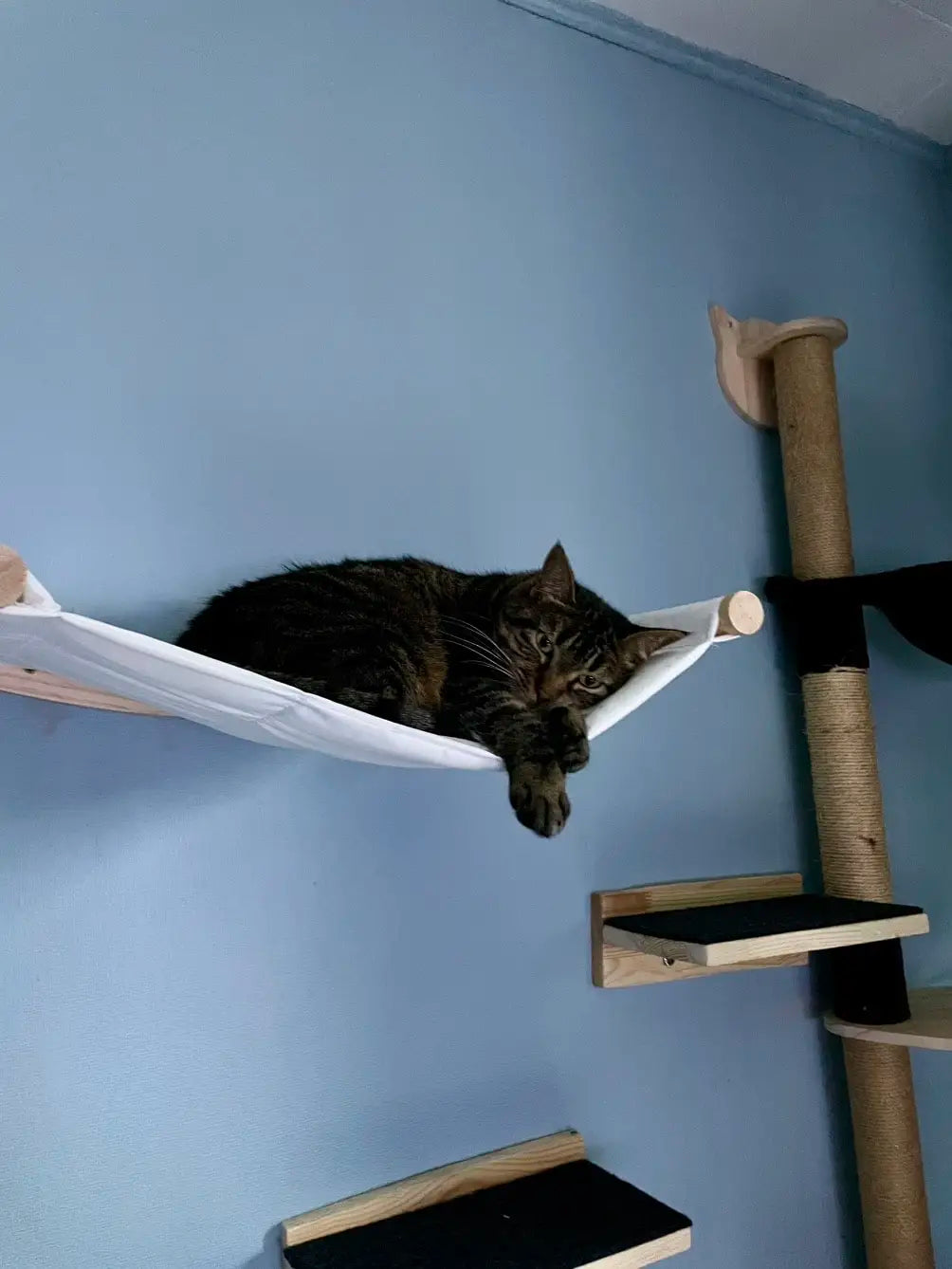 Cat Tree Tower Cat Climbing Shelf Wall Mounted Steps Curved Cat Bed Widen Access Corner Perches Hammock For Sleep Pet Furniture