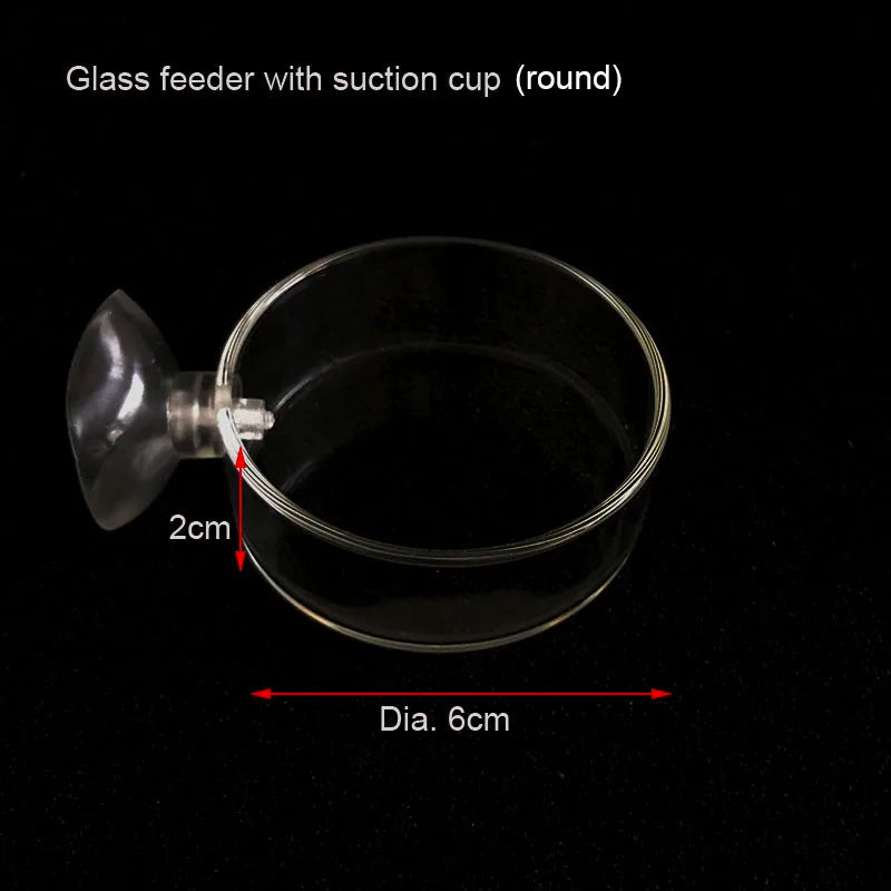 Transparent Aquarium Fish Tank Shrimp Food Feeding Circle Glass Feeder Floating Bottom Feeder Fish Shrimp Aquarium Accessories