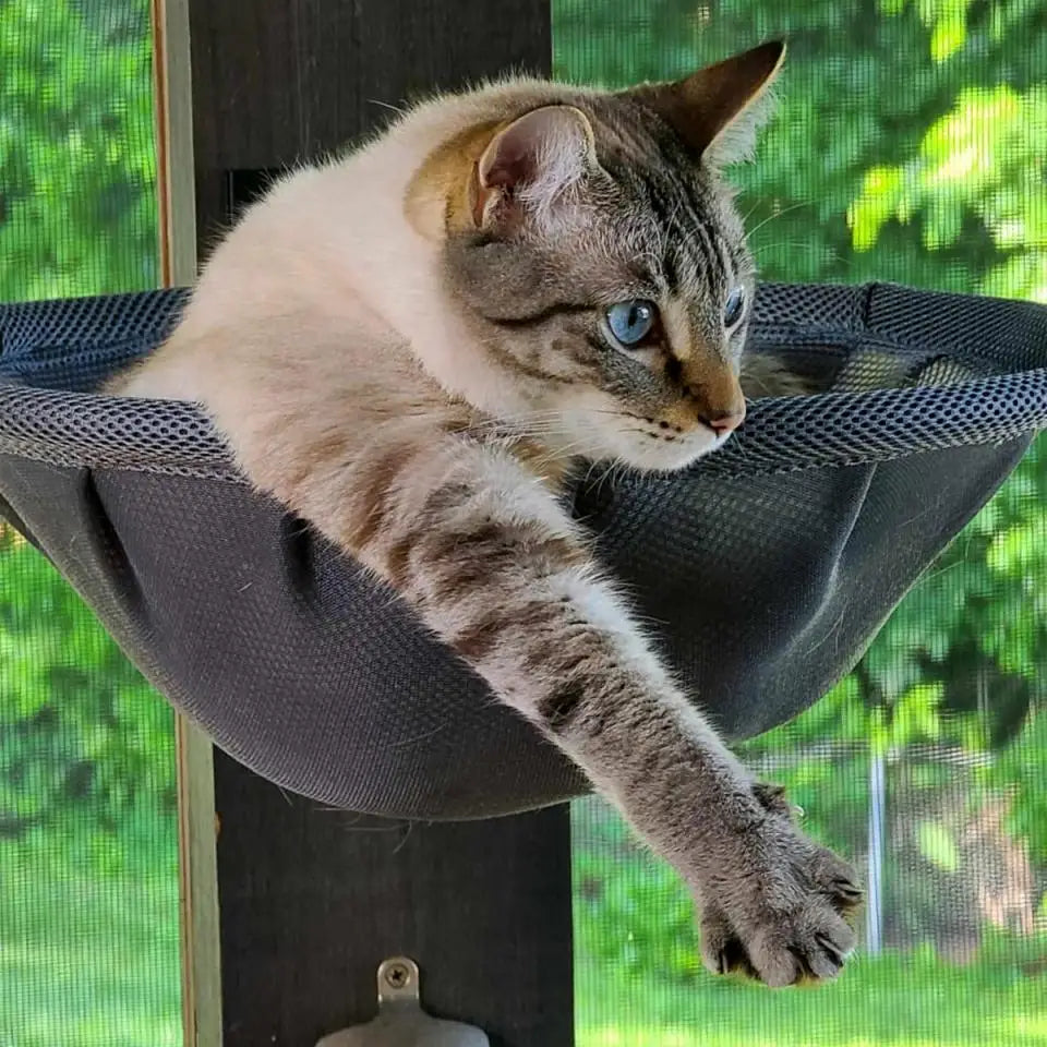 Cat Hammock Wall Mounted Foldable Cat Beds Breathable Cat Wall Shelves for Sleep Overlook Sunbathing Stable Cat Wall Perch