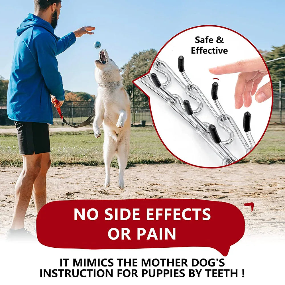 Strong Dog Prong Collar for Dogs Adjustable Detachable Dog Training Collar with Quick Release Buckle for Small Medium Large Dogs