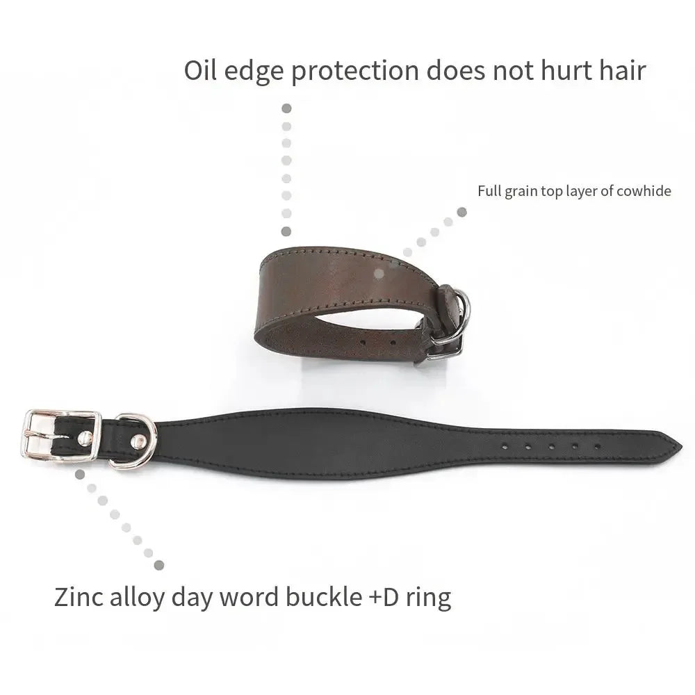 Soft Real Leather Extra Wide Padded Tapered Dog Collar Glossy Brown Black Greyhound Saluki Deerhound Lurcher Whippet Dachshund