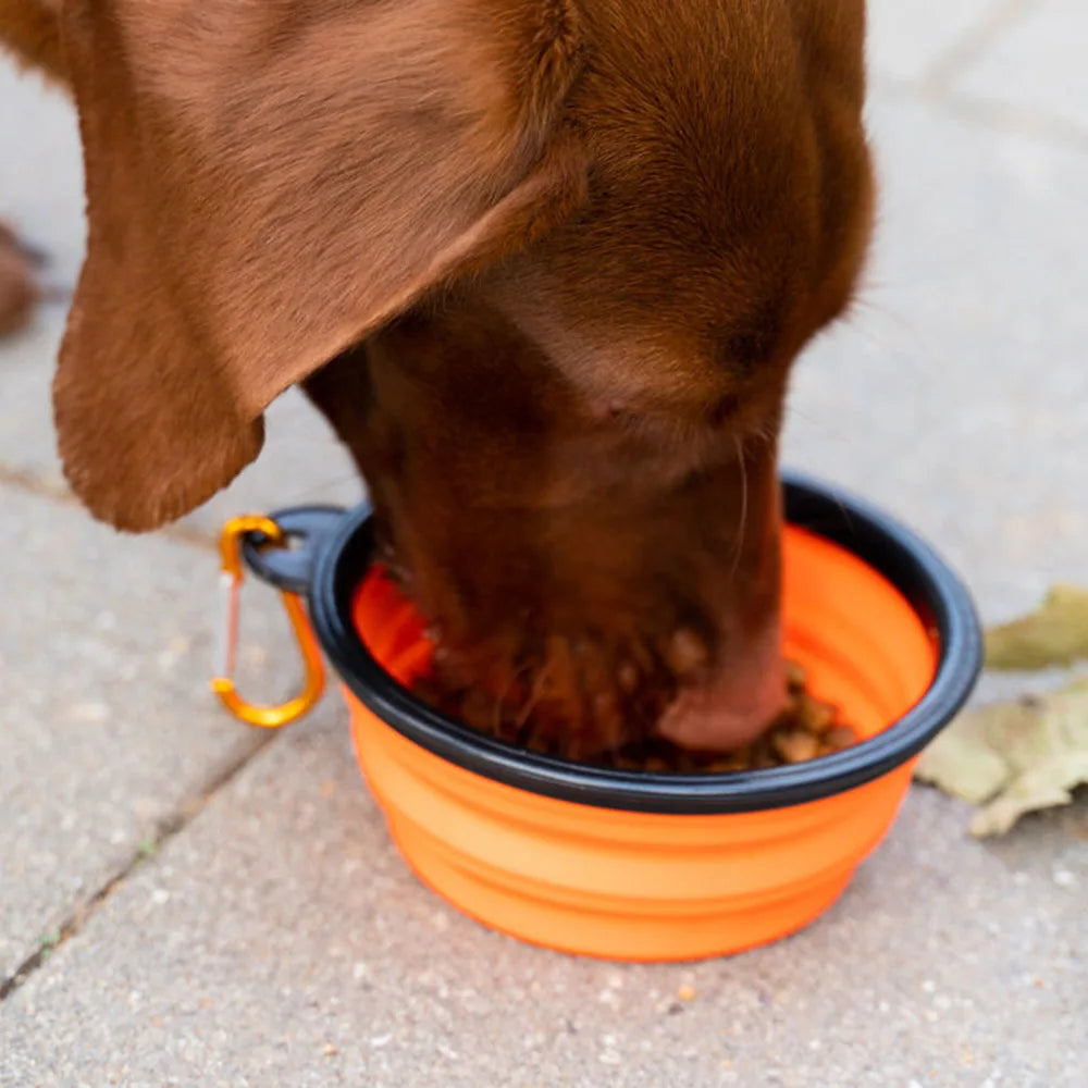 Collapsible Dog Bowls Portable Travel Dog Bowls Expandable for Cat Dog Water Bowl Food Feeding Dish Silicone Pet Bowl 350/1000ml