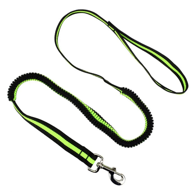 190cm Elastic Dog Leash Pet Cat Puppy Anti Dash Pull Dog Lead Leash Retractable Leash For Rabbit Hamster Small Pets Dropshipping